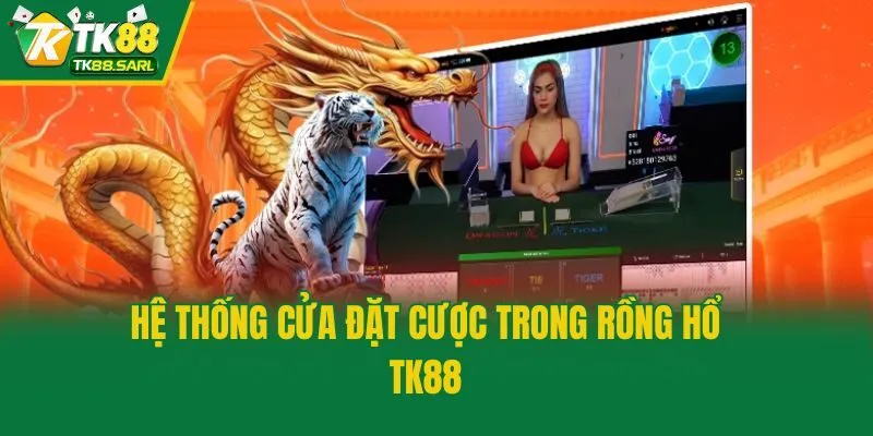 Rồng Hổ TK88 - Bật Mí Cách Chơi Và Kinh Nghiệm Săn Thưởng 3 Hệ thống cửa đặt cược trong Rồng Hổ TK88