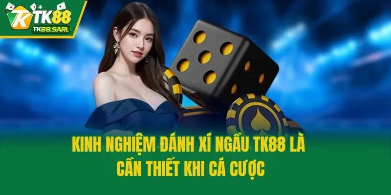 Kinh Nghiệm Đánh Xí Ngầu TK88 Cực Chất, Chơi Là Thắng Lớn 2 Kinh nghiệm đánh xí ngầu TK88 là cần thiết khi cá cược