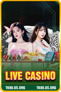live casino 197x300 1